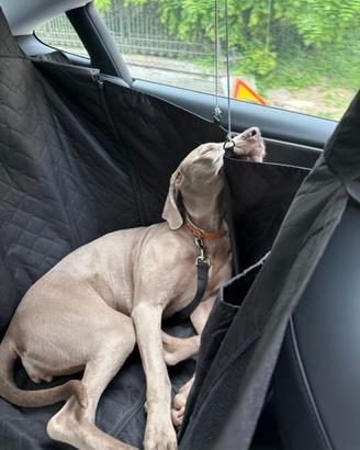 Coprisedile per cane per Tesla Model 3/Y/S