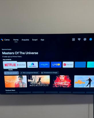 TV 55 POLLICI OLED METZ TEDESCA