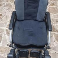 Sedia a rotelle