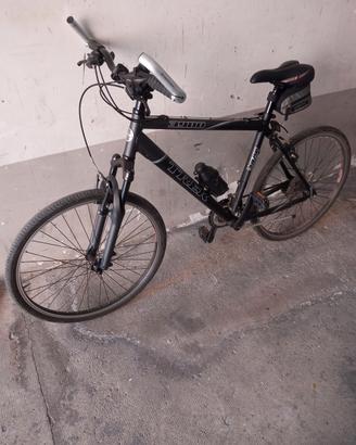 Bicicletta uomo 