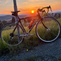 Bicicletta Daccordi FullCarbon