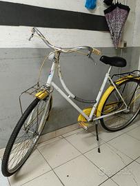 bicicletta tipo olandese