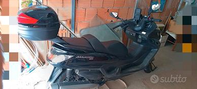 scooter majesty yamaha