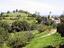 Immagine 7