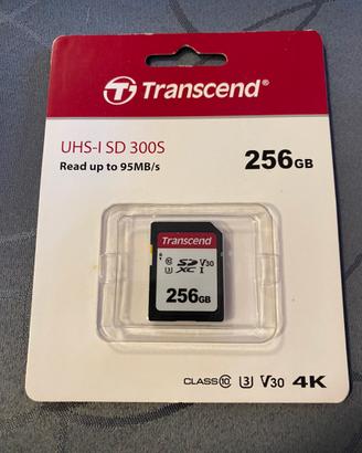 SCHEDA MEMORIA SD 256 GB