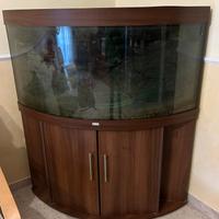 acquario juwel trigon 350