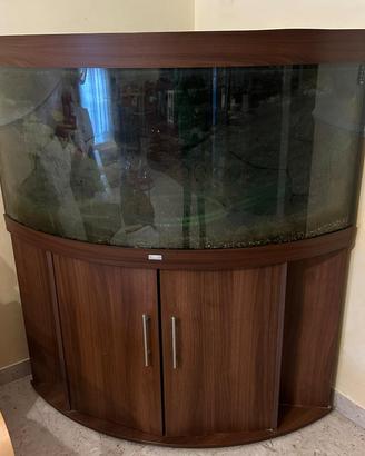 acquario juwel trigon 350