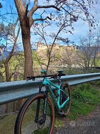 Bianchi Methanol CVS