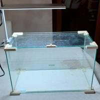 Vasca acquario e plafoniera led 