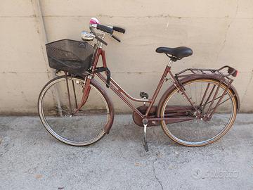 bicicletta con freni a bacchetta