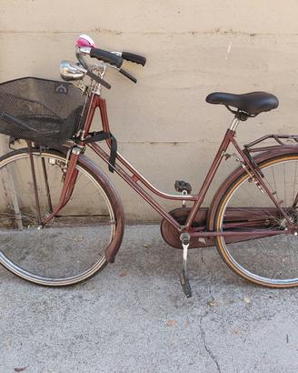 bicicletta con freni a bacchetta