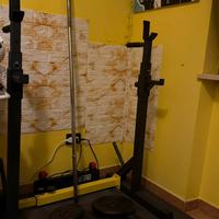 Set Palestra Completo