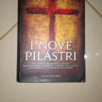 I nove pilastri