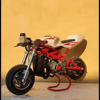 Minimoto Replica Blata C1