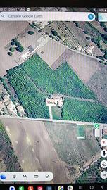 Terreno in Località pila ai Piani Frigento