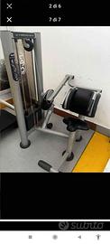 Attrezzo professionale Abdominal machine Panatta s