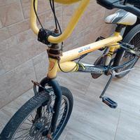 coppia di biciclette 