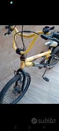 coppia di biciclette 