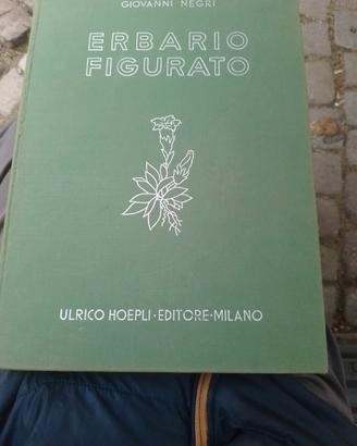 Erbario Hoepli
