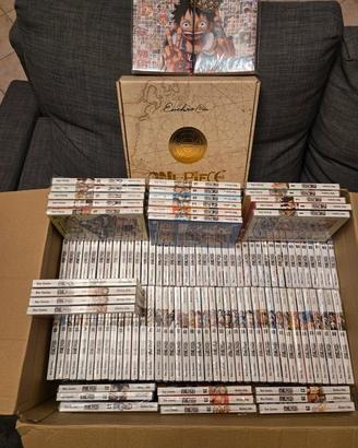 Collezione manga 