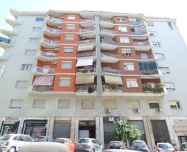 Negozio Roma [Locale MeloriaVCG]