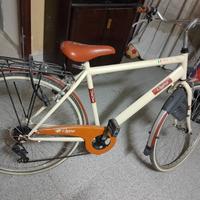 bici marca Regina