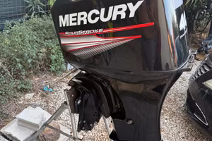 Ricambi mercury 40cv efi
