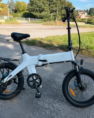 Biciclette elettrica