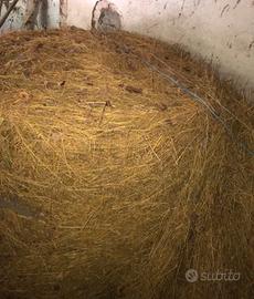 Balla di Fieno da Foraggio / Pacciamatura 10€