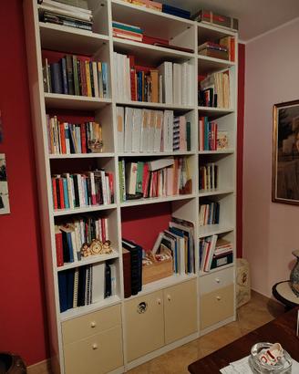 Libreria in legno artigianale 