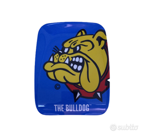 Vassorio The Bulldog porta soldi Originale 15x20