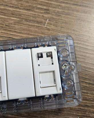presa doppia rj45 ethernet da incasso con supporto