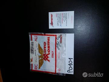 Morini ricambio vite torx 6x18