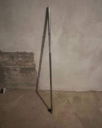 Palestra