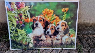 Quadro Puzzle incorniciato 50x70 Cuccioli Beagle