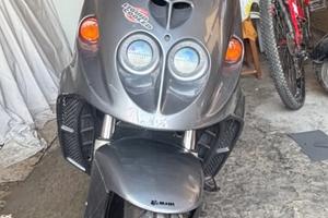 Malaguti phantom f12