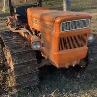 Trattore a cingoli Fiat 555C Ricondizionato
