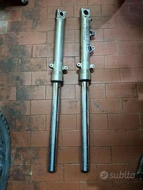 Steli Forcella Honda Revere