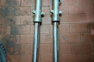 Steli Forcella Honda Revere