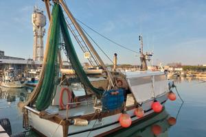 Peschereccio - Barca da Pesca con Licenza