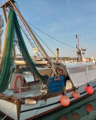 Peschereccio - Barca da Pesca con Licenza