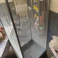 Voliera per uccelli e petauri