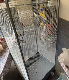 Voliera per uccelli e petauri