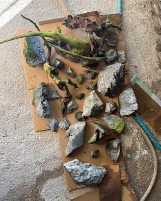 20 kg di rocce quarzo , 3 legni amtra XL