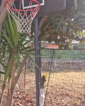 canestro da basket 