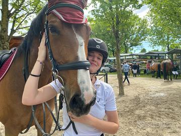 Gestione equini/allevamenti/aiuto scuderia