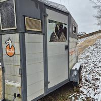 Van trasporto cavalli