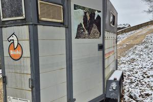 Van trasporto cavalli