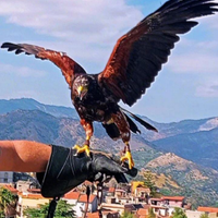 Solo per chi e interessato