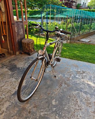 Bicicletta uomo